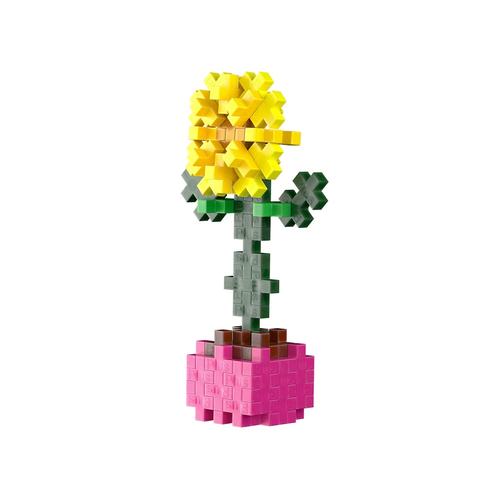 Sociable Sunflower