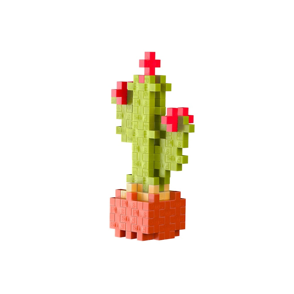 Calm Cactus