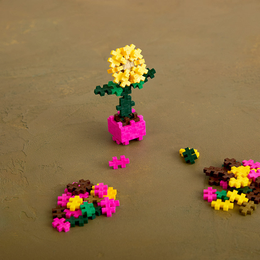 Sociable Sunflower