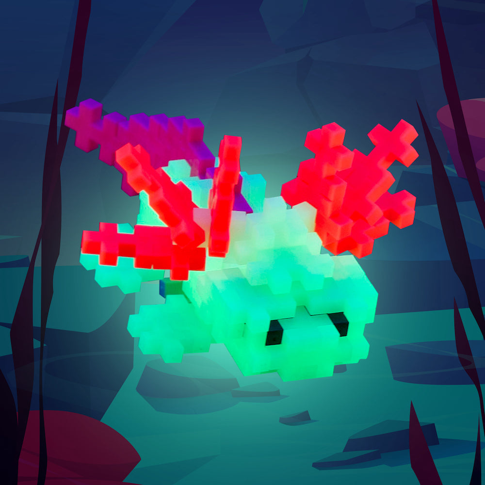 Box - Axolotl