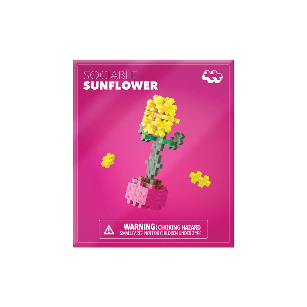 Sociable Sunflower plant packet