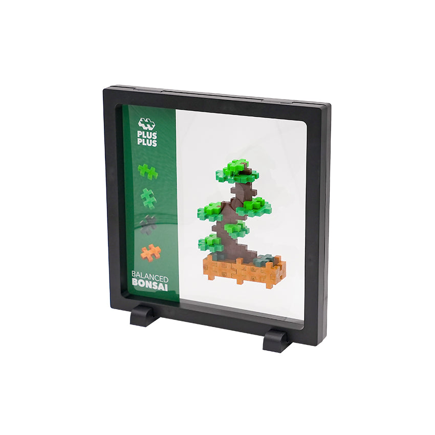 Playful Plant Packets display frame with a bonsai tree build